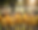 Gemini_Generated_Image_qceas8qceas8qcea.png