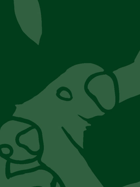 Checklist para Travessias - Checklist for Crossings: