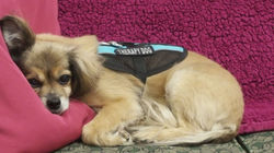 Resized_20170613_121456