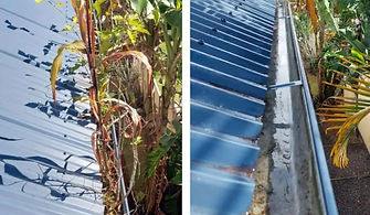 Best-Gutter-Cleaner-Mt-Coolum-Yaroomba_e