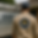Just-Gutters-Sunshine-Coast.png