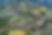 Buderim aerial view gutters