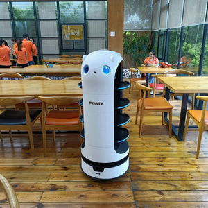 Humanoid and Specialized Service Robots