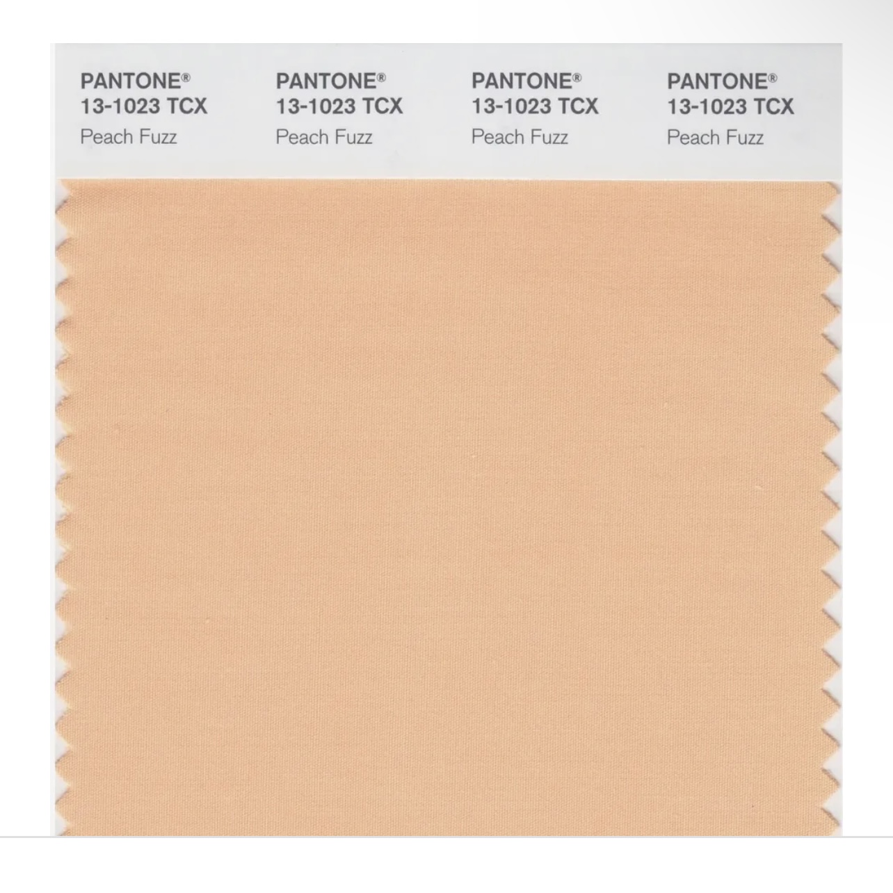 Sorry Peach Fuzz, you’re not for Indian skin tones.