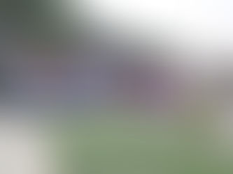 "सुवर्णमहोत्सवी स्नेहसंमेलनाचा लेखाजोखा - भाग ६६"