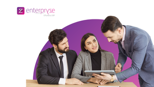 Why Professional Services SMEs Need ERP for Grow Healthy: The Complete Digital Transformation Guide