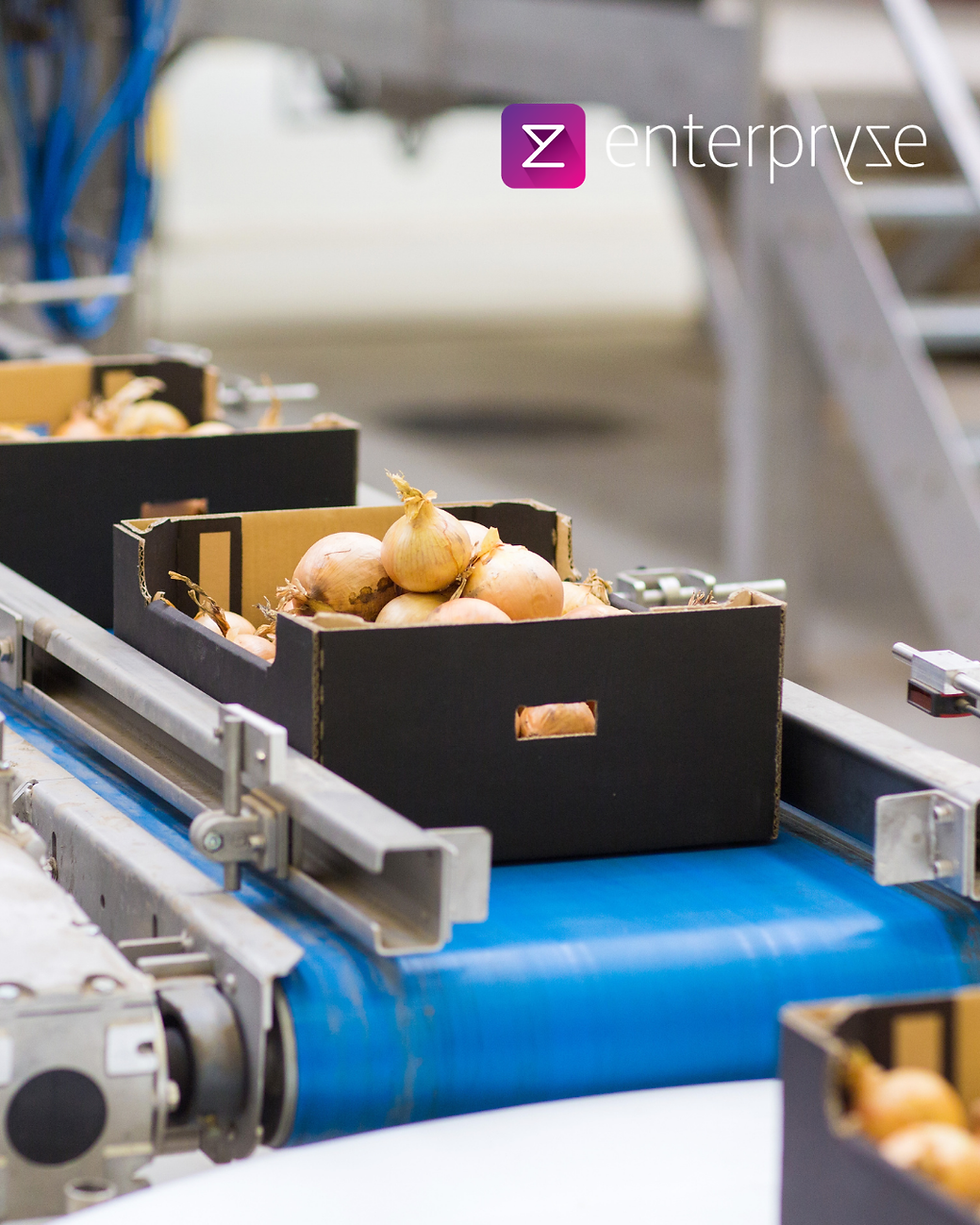 Crates of onions on a blue conveyor belt in a factory, with the Enterprise logo in the background.