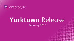 Enterpryze ERP February 2025 Yorktown Release - Product updates including special pricing, landed costs, and warehouse management features