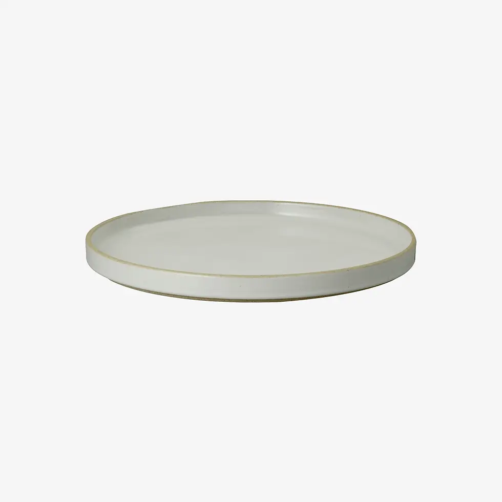 Gloss Grey Dinner Plate by Hasami Porcelain