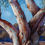 Thumbnail: Old River Sentinel  - Print