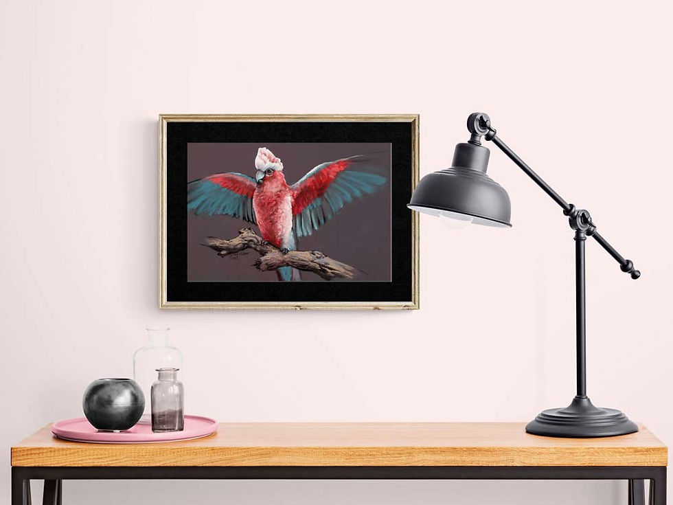 Thumbnail: Galah Outstretched Wings