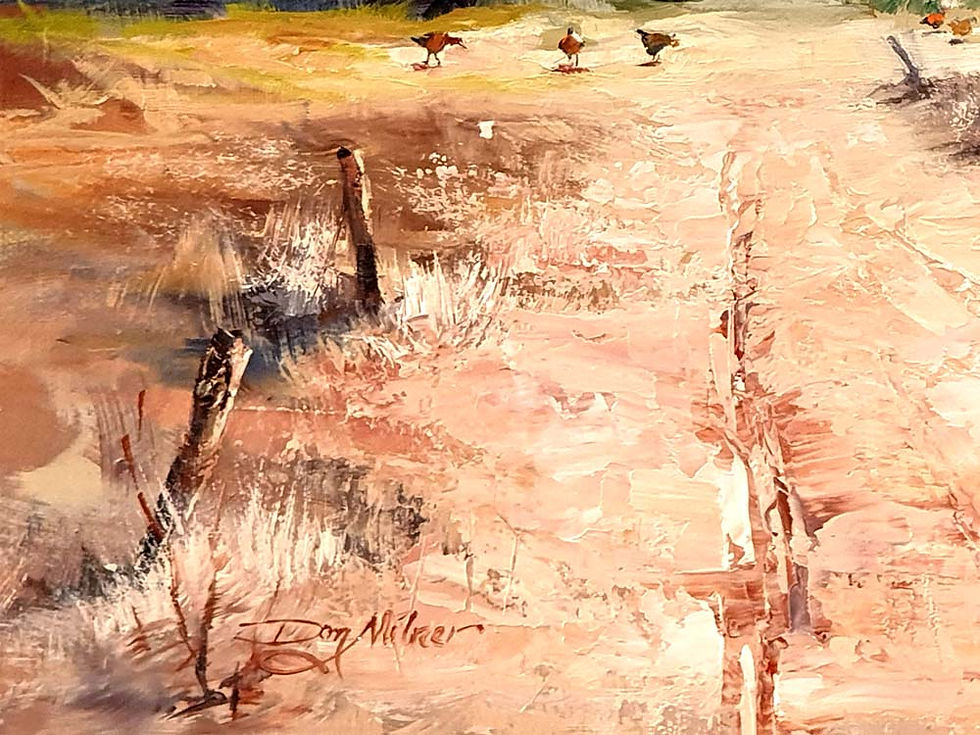 Thumbnail: Old Shed Meringandan