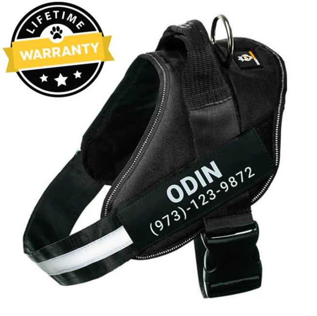 No Pull Dog Harness Solutions for Strong Pulling Dogs