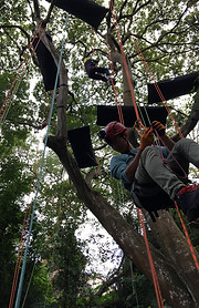 127225683_3518428481597966_3108157360247