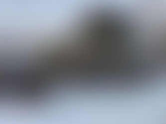 この冬初積雪と上越の雪　☃