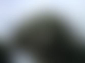 満開の百日紅に千客万来\(^o^)/