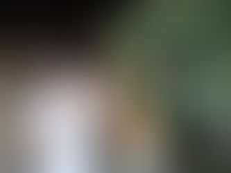 運動会でゲットした・・・幸運のお米🍙