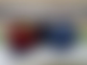 私の新相棒は・・・