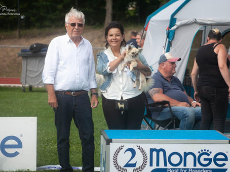 Dulle Griet 2025