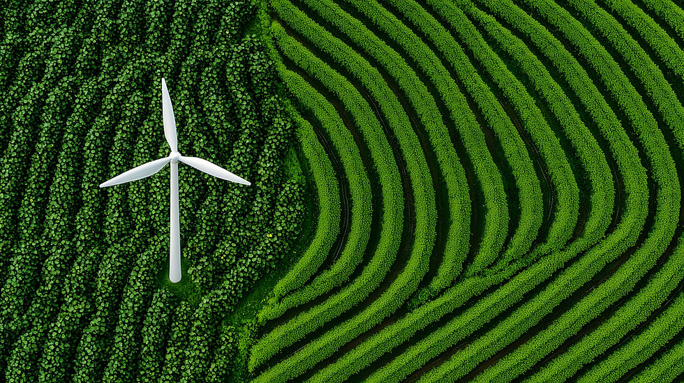 Eco-Friendly & Scalable Manufacturing