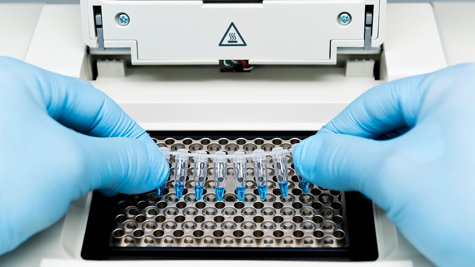 PCR assays