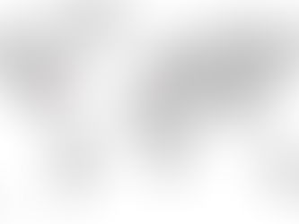 TN-plastics strategic nearshoring locations showing manufacturing facilities in Michigan USA and Mirandola Italy with secure supply routes providing supply chain resilience for medical device manufacturers