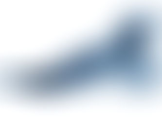 X-ray image showing foot and ankle structural alignment