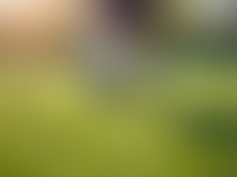 Eye-level view of child tying running shoes on a grassy field
