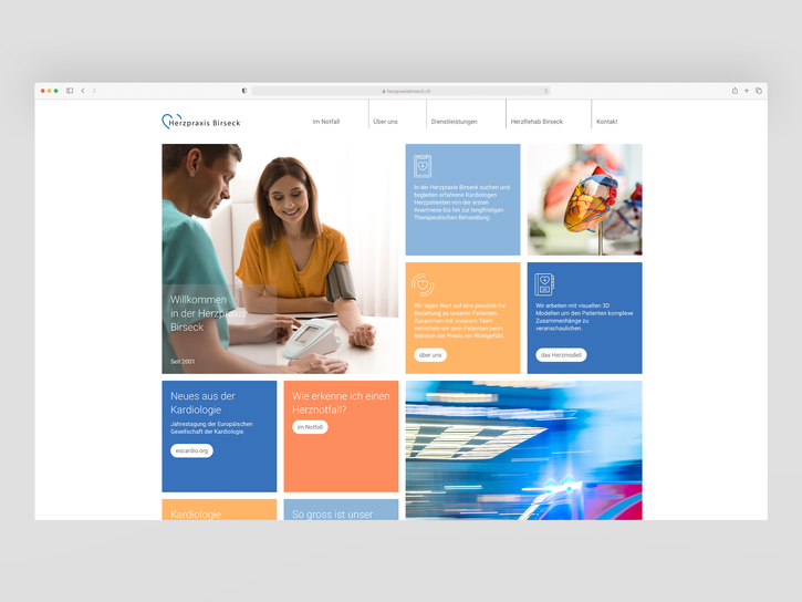 Mesmer Société Herzpraxis Birseck Herzrehab Birseck Branding Logo Website Webdesign