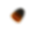 DSC_-8.png