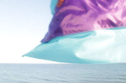 Declaring Freedom project