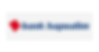 BankHapoalim_logo.png