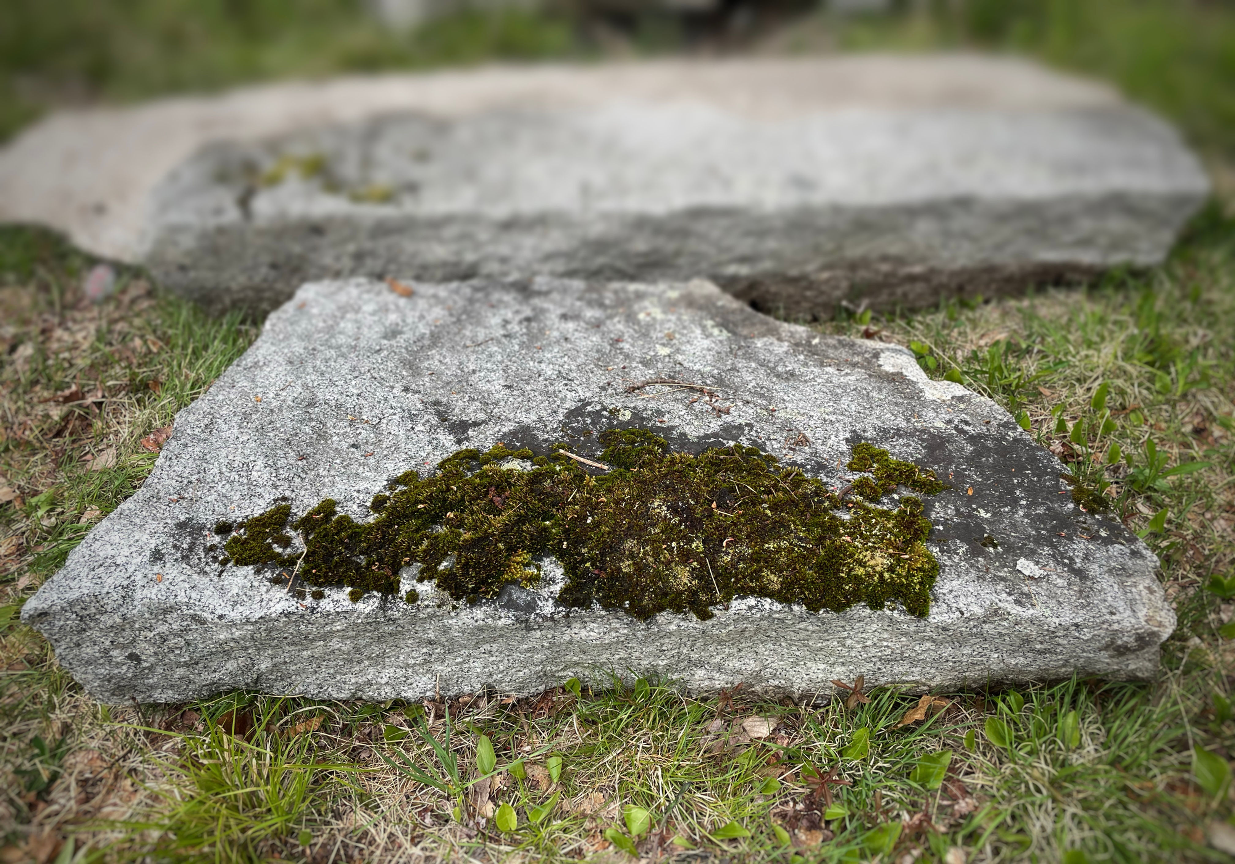 Mossy Entrance Stone