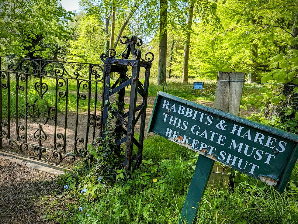 Looks out for the wildlife at Howick Hall