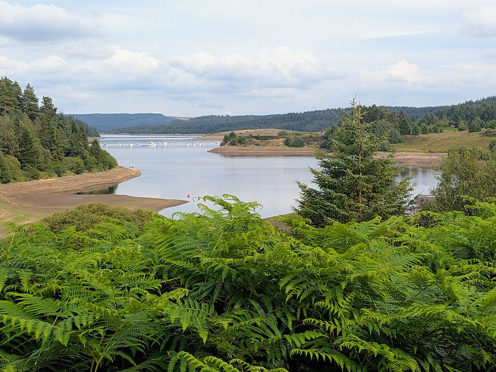 Green ferns overlook a calm lake with distant boats, wooded hills, and a cloudy sky in a serene landscape