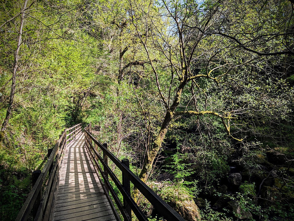 One of the wooden bridges that zig-zags across the river on route to the waterfall