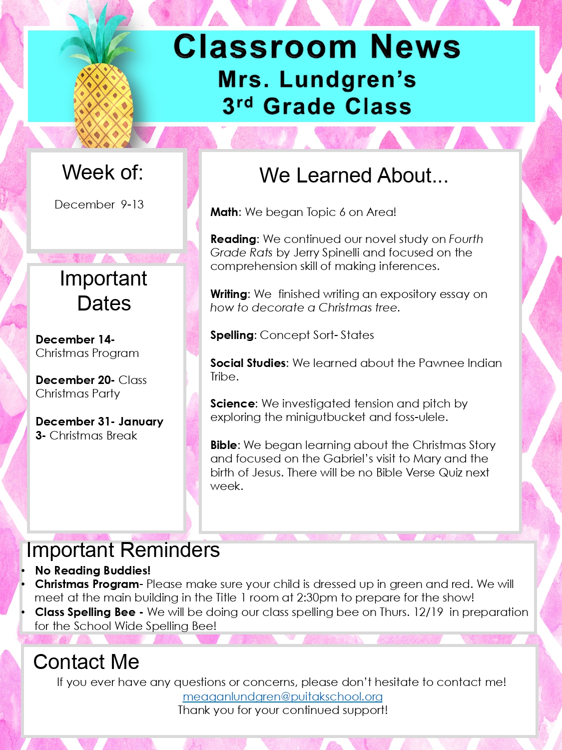 MeaganNewsletter2019December2ndWeek_page