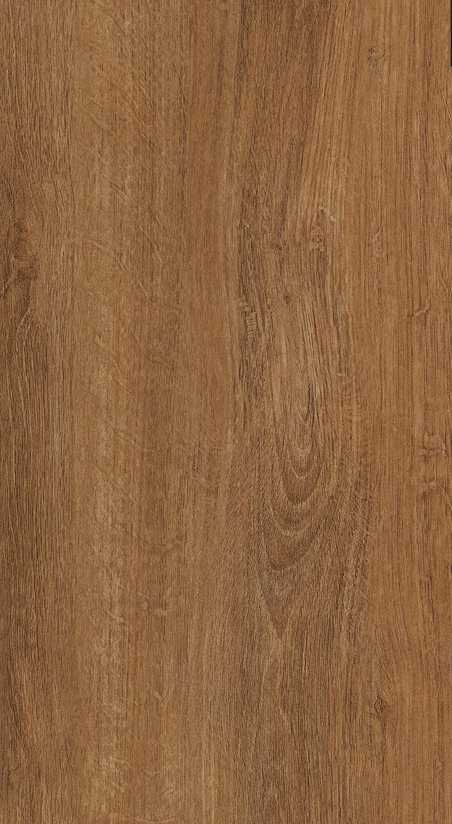Roble Sahara