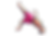 perso back.png