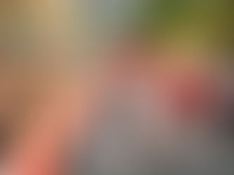 Avec 25 428 participants, le Generali Genève Marathon devient le plus grand marathon de Suisse