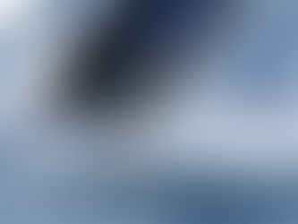 Le Groupe Figaro renouvelle sa confiance à OC Sport Pen Duick jusqu'en 2036 !