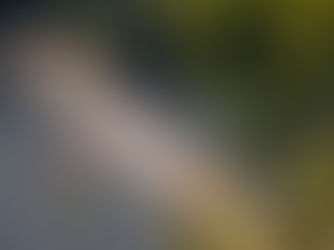 Édition record, passerelle flottante : Nantes casse les codes du running en 2025