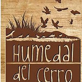 Humedal del Cerro