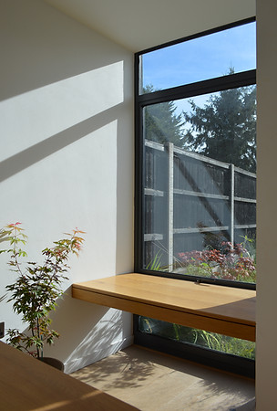 Courtyard House_Interior 2_website.jpg