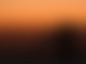 Did you know? Twilight