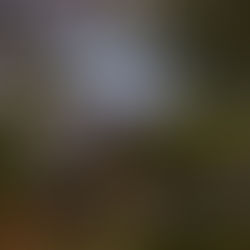 A partially eclipsed Moon