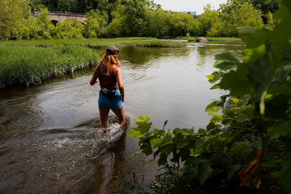 A woman angler walking in a river.