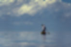 fisherman on a kayak with deep blue clouds.
