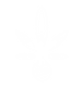 watermark_icon_transparent_background_ed