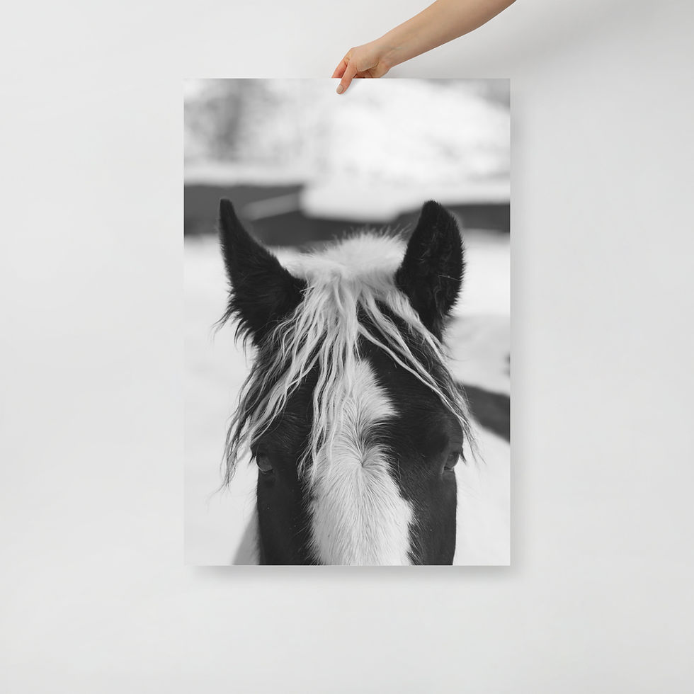 Thumbnail: Snowy Horsey Print
